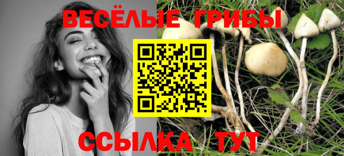 Галлюциногенные грибы MAGIC MUSHROOMS Прохладный