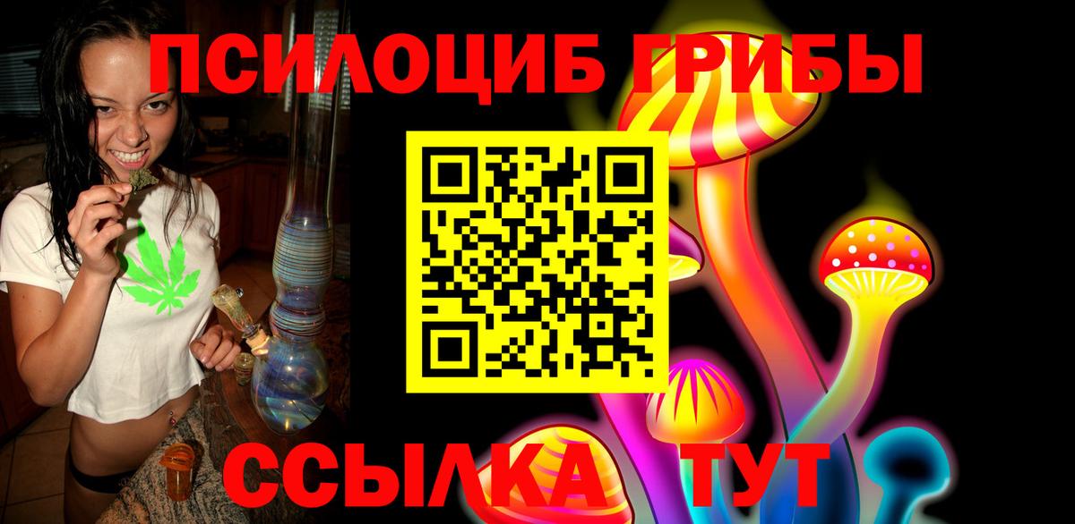 Галлюциногенные грибы Cubensis  сколько стоит  Прохладный  Вход с VPN  Галлюциногенные грибы Psilocybine cubensis 