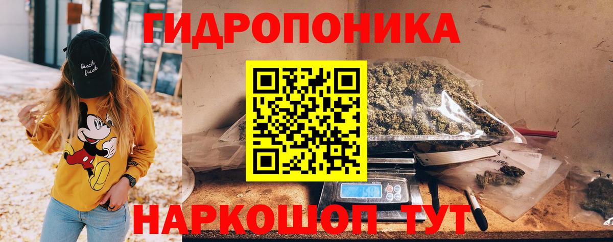 Конопля индика  Вход с VPN  Шишки марихуана MAZAR  Конопля ГИДРОПОН  Бошки марихуана SATIVA & INDICA  Прохладный 